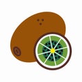 Kiwi with a slice vector illustration. Juicy fruit vector isolated icon in flat style on white background. Sweet summer fruit Royalty Free Stock Photo